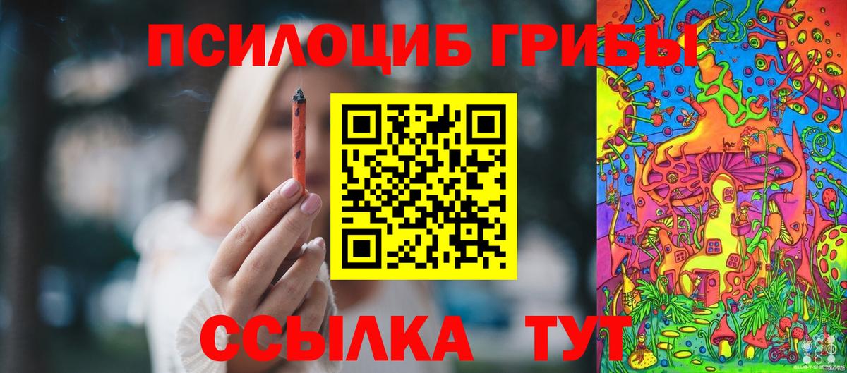 Россия  Псилоцибиновые грибы MAGIC MUSHROOMS  закладки  Галлюциногенные грибы Magic Shrooms  Вход с VPN 