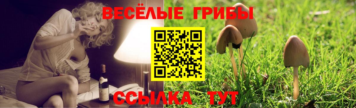 COCAIN  Alpha PVP СК   LSD-25  Меф   Метамфетамин  Россия  Бошки Шишки  Бошки Шишки  Мефедрон  Гашиш  Вход с VPN 